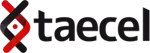 taecel.com
